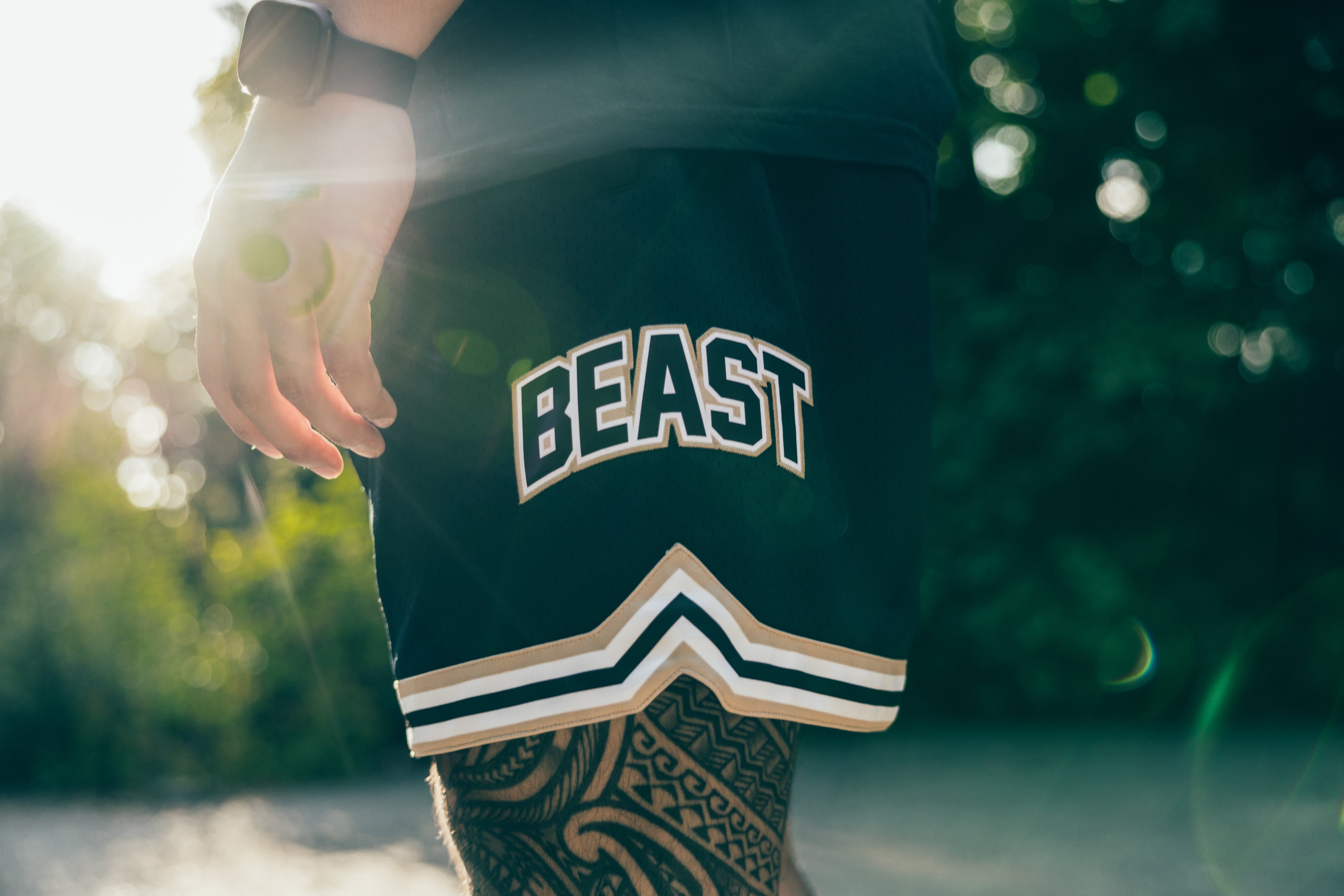 Beastmode Collegiate Swingman Short