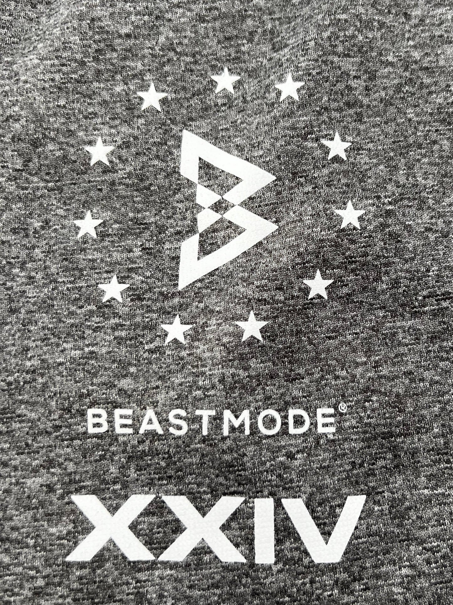 Beastmode That 24 Tech Fleece Short (Grey Heather) Close-Up